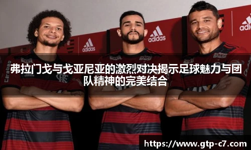 弗拉门戈与戈亚尼亚的激烈对决揭示足球魅力与团队精神的完美结合